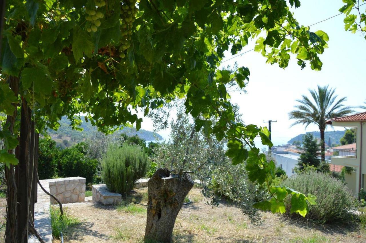 Σπίτι Πορτοκάλι Διαμέρισμα Epidaurus Εξωτερικό φωτογραφία